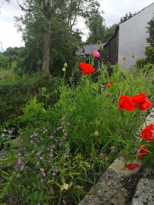 Riverside Cottage At Logwood Mill Ballyclare Extérieur photo