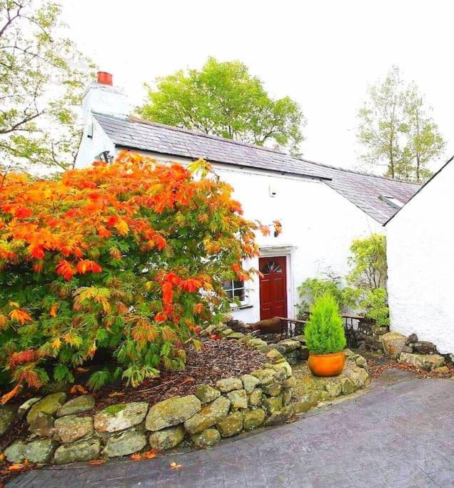 Riverside Cottage At Logwood Mill Ballyclare Extérieur photo