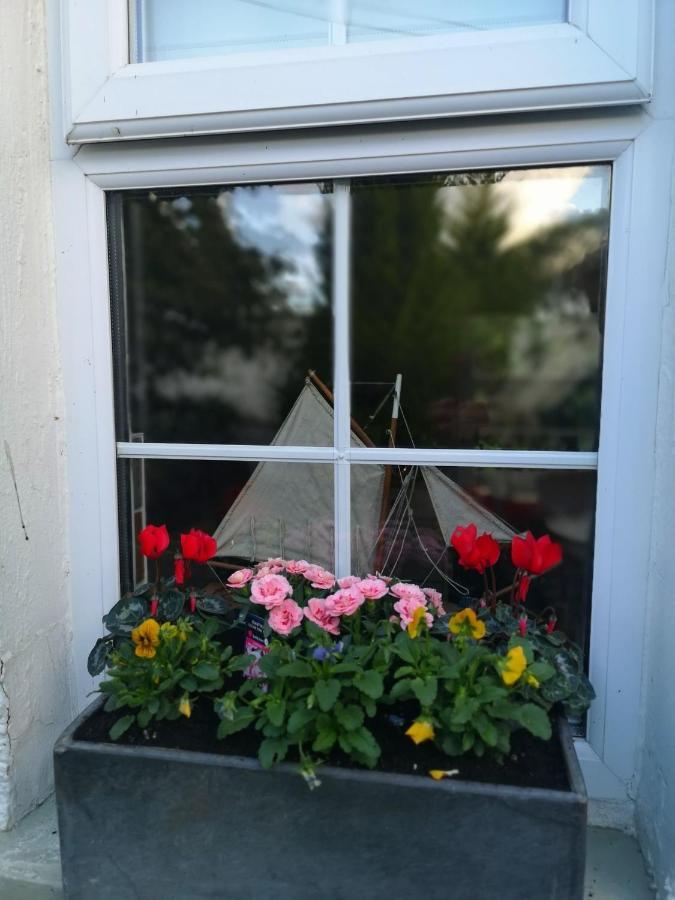 Riverside Cottage At Logwood Mill Ballyclare Extérieur photo