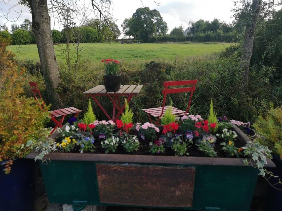 Riverside Cottage At Logwood Mill Ballyclare Extérieur photo
